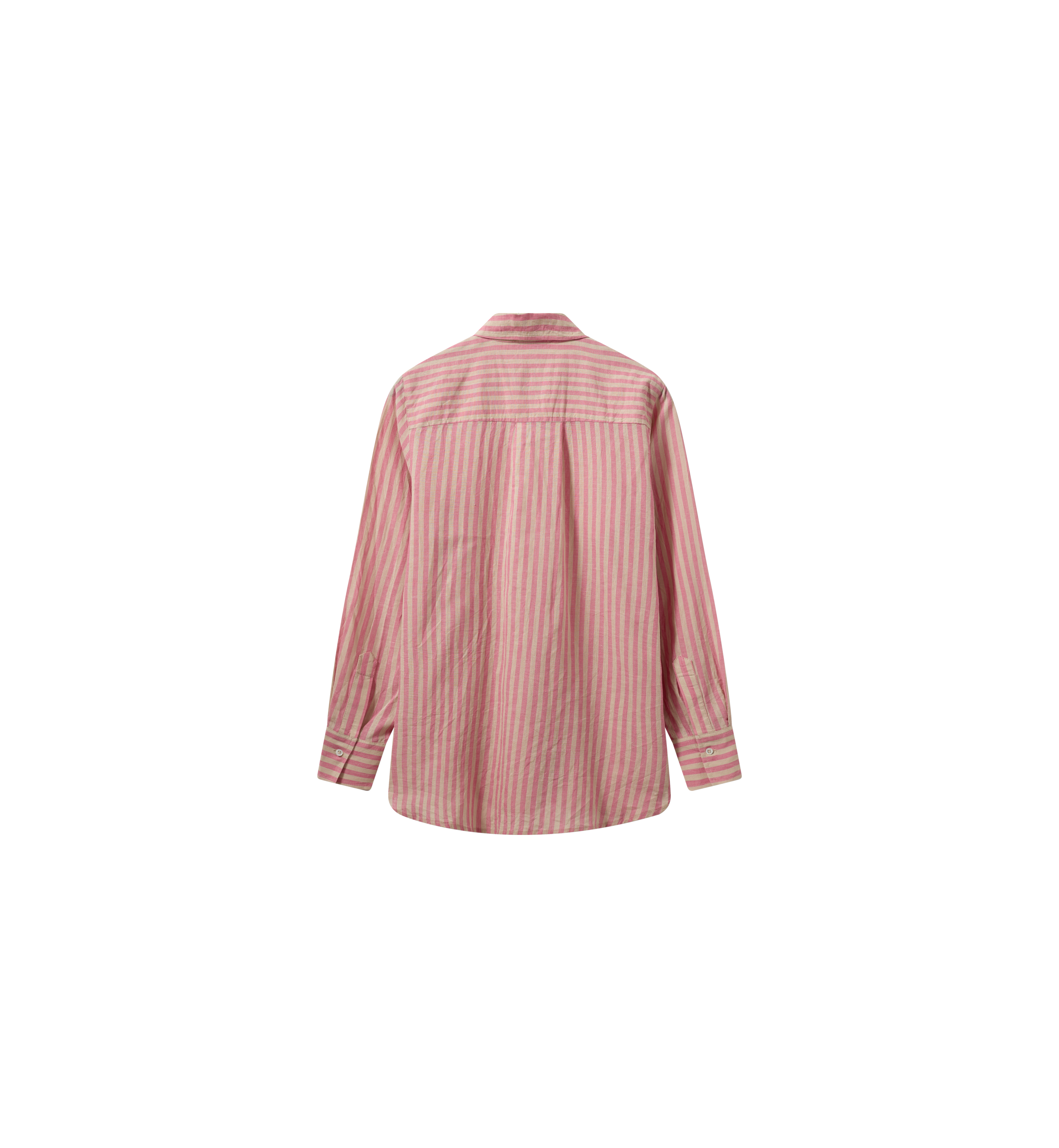 Packshot / Camellia Rose / Back